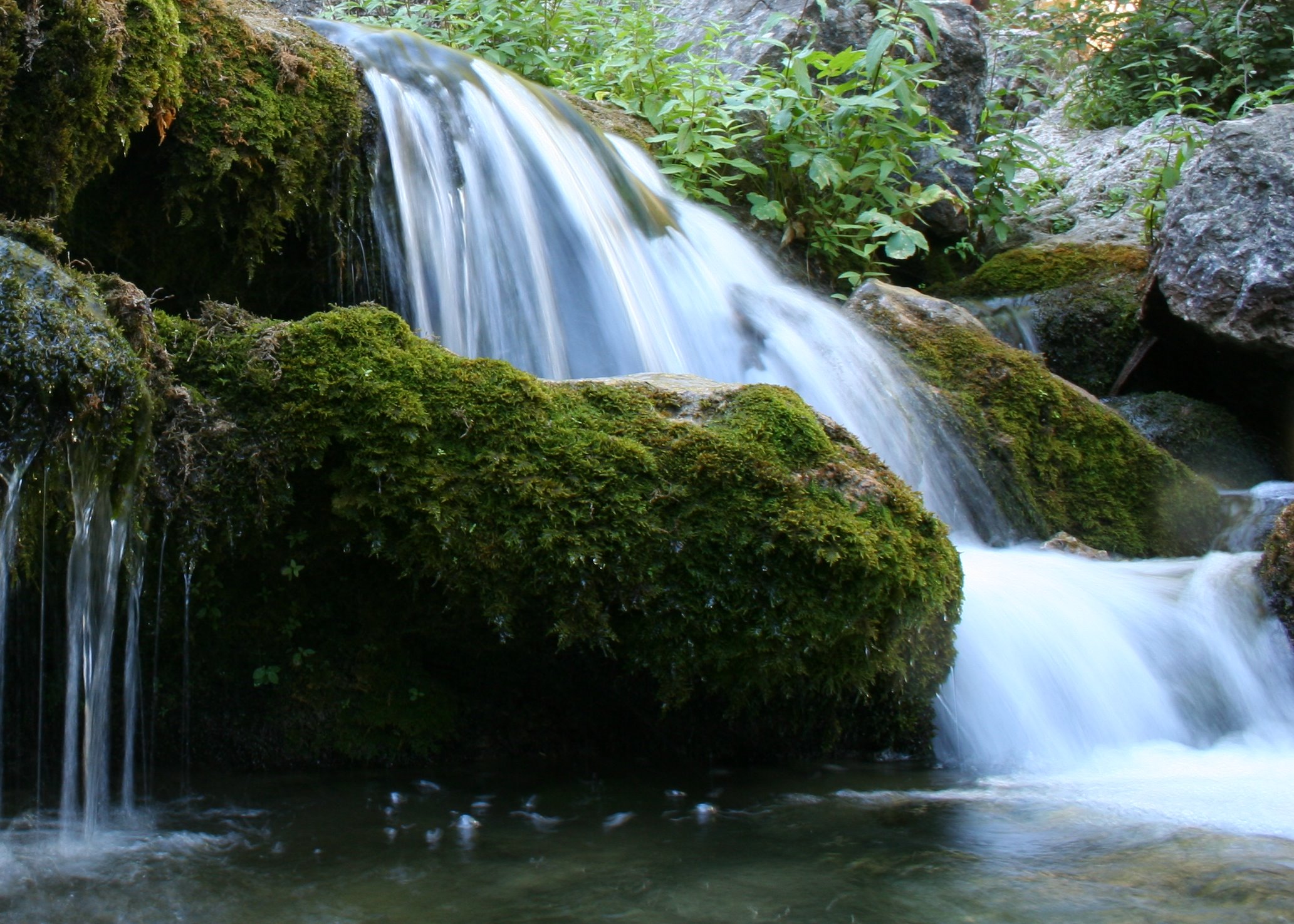 Nacimiento del Río Mundo en la Sierra del Segura, Albacete