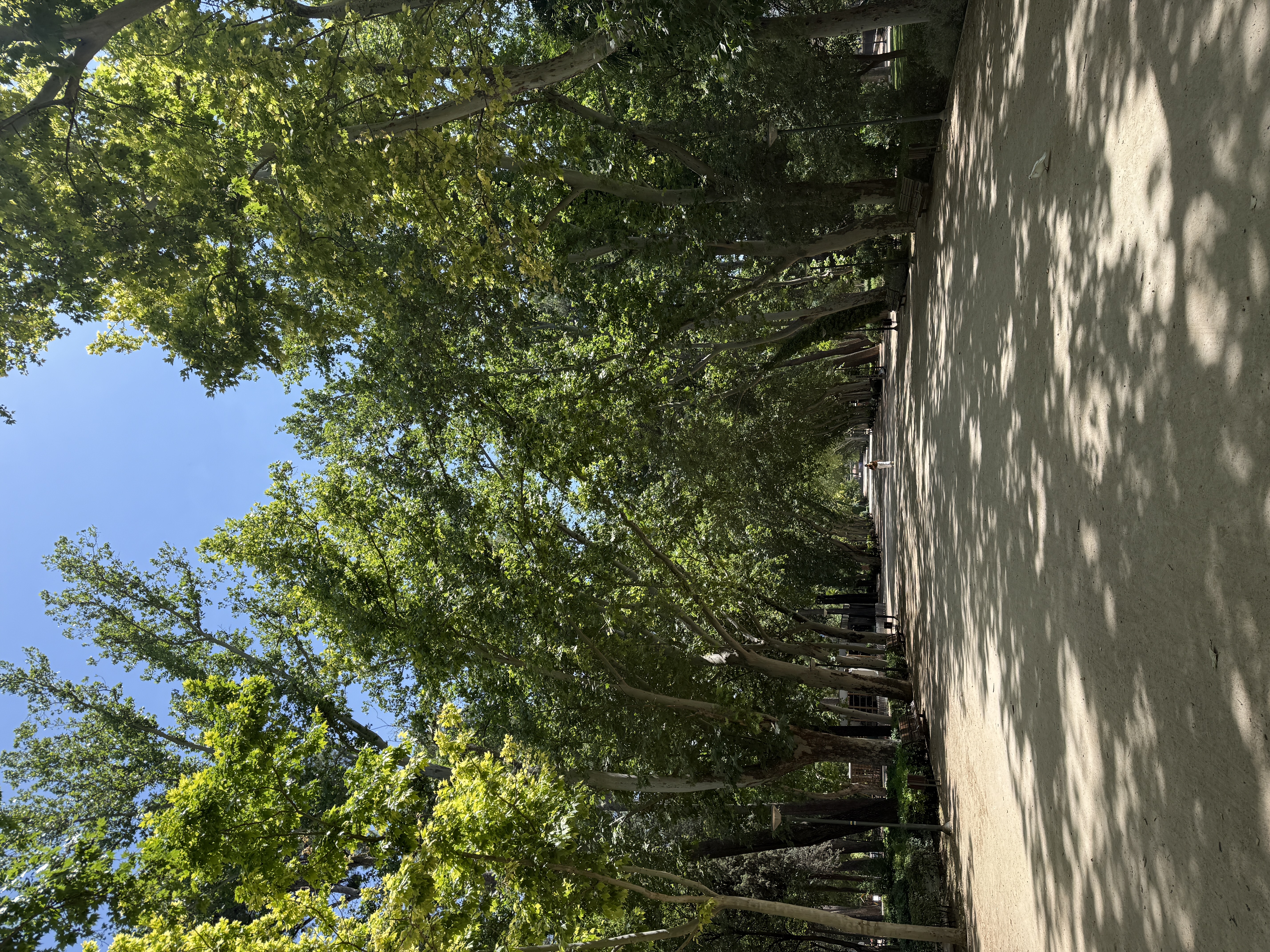 Parque Abelardo Sánchez de Albacete, plan gratuito para pasear y desconectar